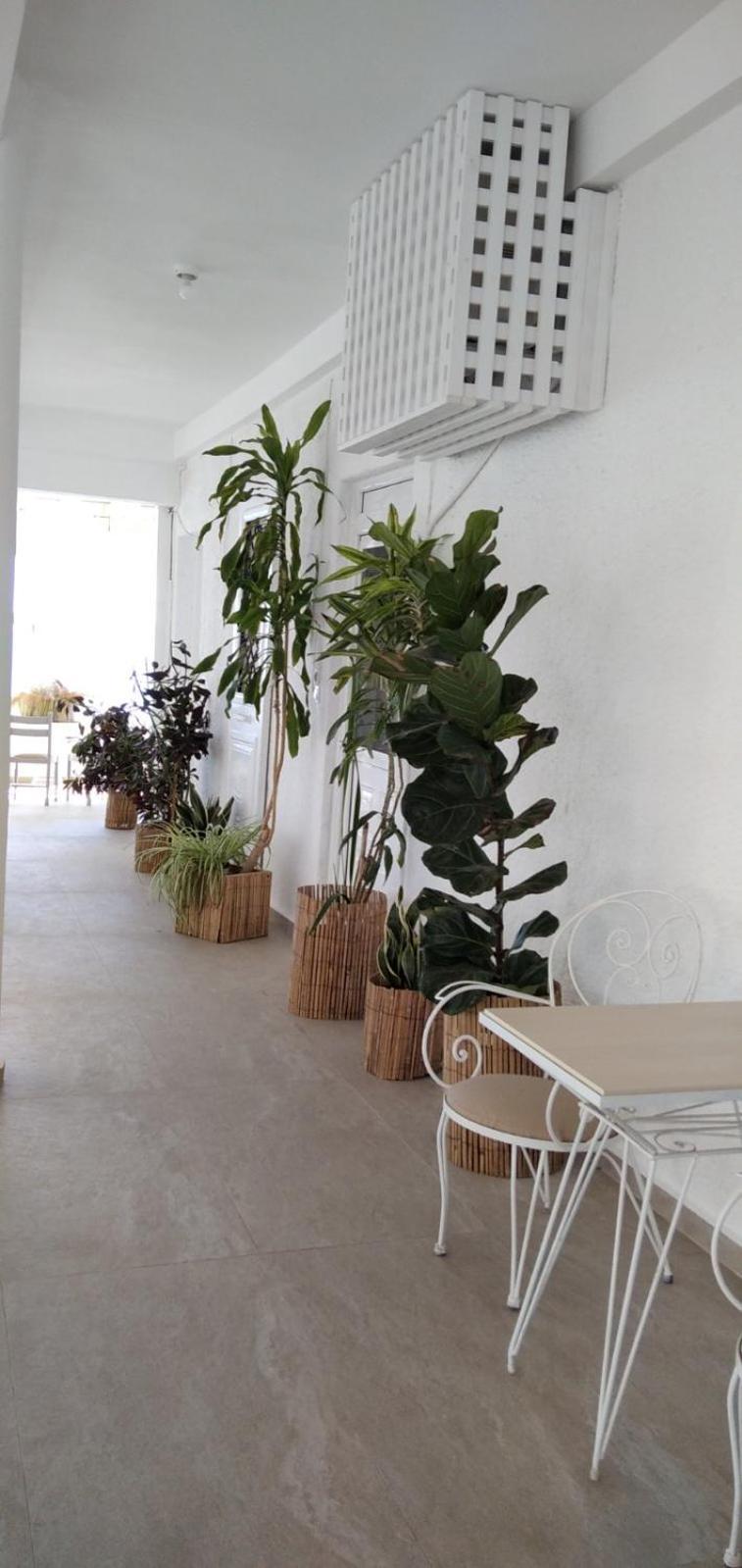 Vista Mare Apartment Koutsouras Exterior photo